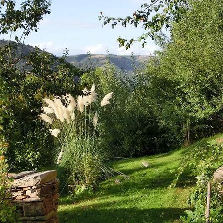 בית הארחה Domaine La Libaudie