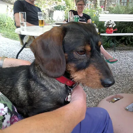 Domaine La Libaudie Konukevi La Bastide-Solages