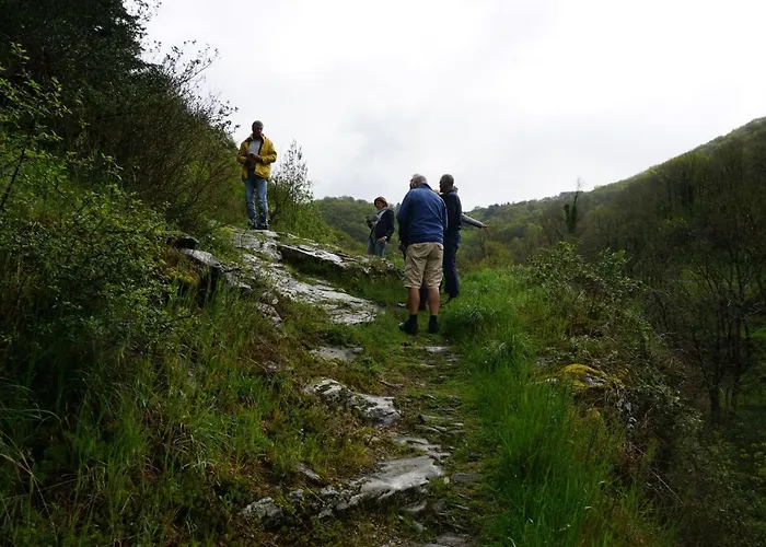 Pensión Domaine La Libaudie La Bastide-Solages