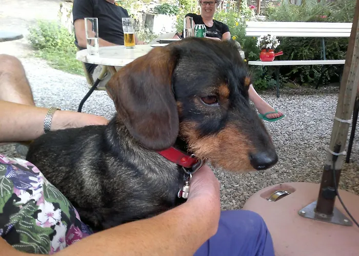 Domaine La Libaudie Pensión La Bastide-Solages