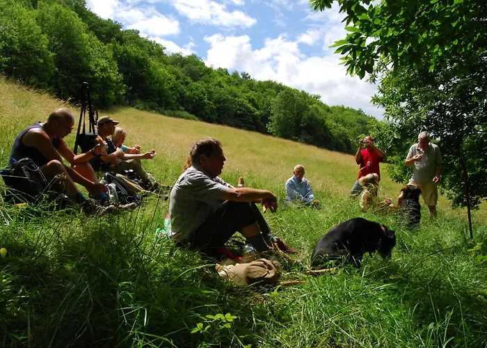 Domaine La Libaudie *