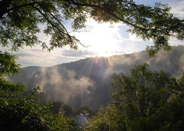 Domaine La Libaudie Pensión *